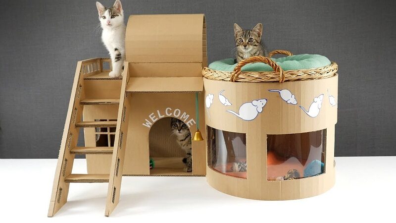 DIY Ideas to Make a Themed Cat House