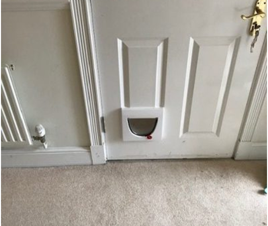 Cat Flap Training: Tips To Train Your Cat To Use The Cat Flap