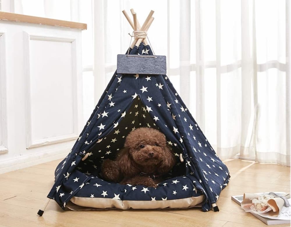 Looking for Australia’s Most Luxurious Dog Teepee Information Online