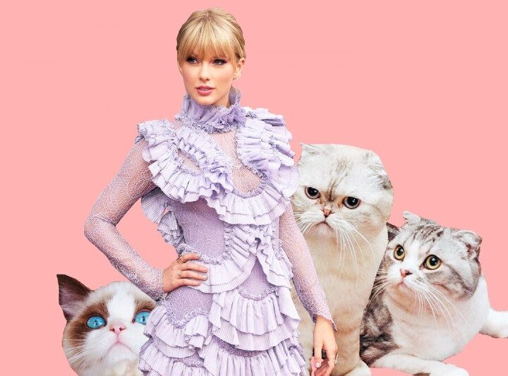 Do you know Taylor Swift’s cats? One of them is third richest pet in the world