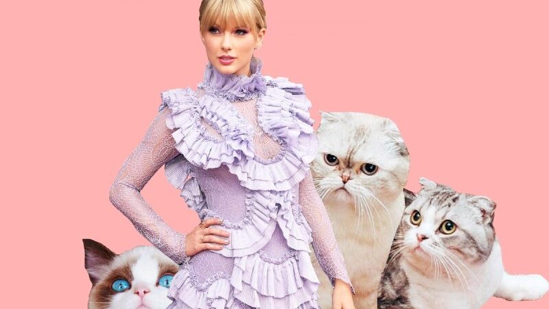 Do you know Taylor Swift’s cats? One of them is third richest pet in the world