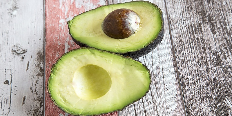 Are avocados are good food for dogs?