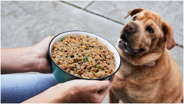 What are the everyday things people order for their pets?