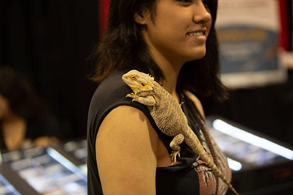 What supplies do you need when you are taking care of reptiles?
