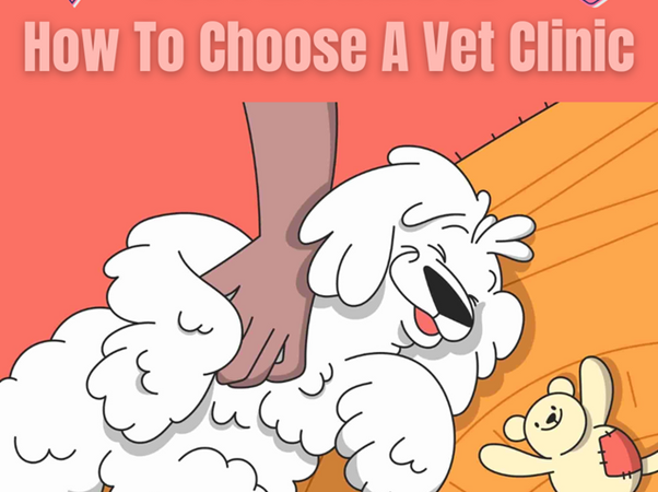 Pet Parenthood: How To Choose A Vet Clinic