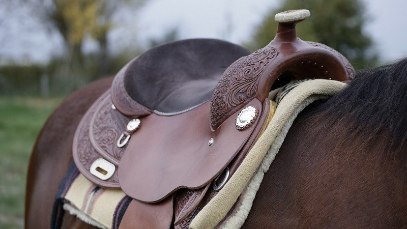 How Good Quality Saddles Ensure The Comfortable Ride For Your Horse